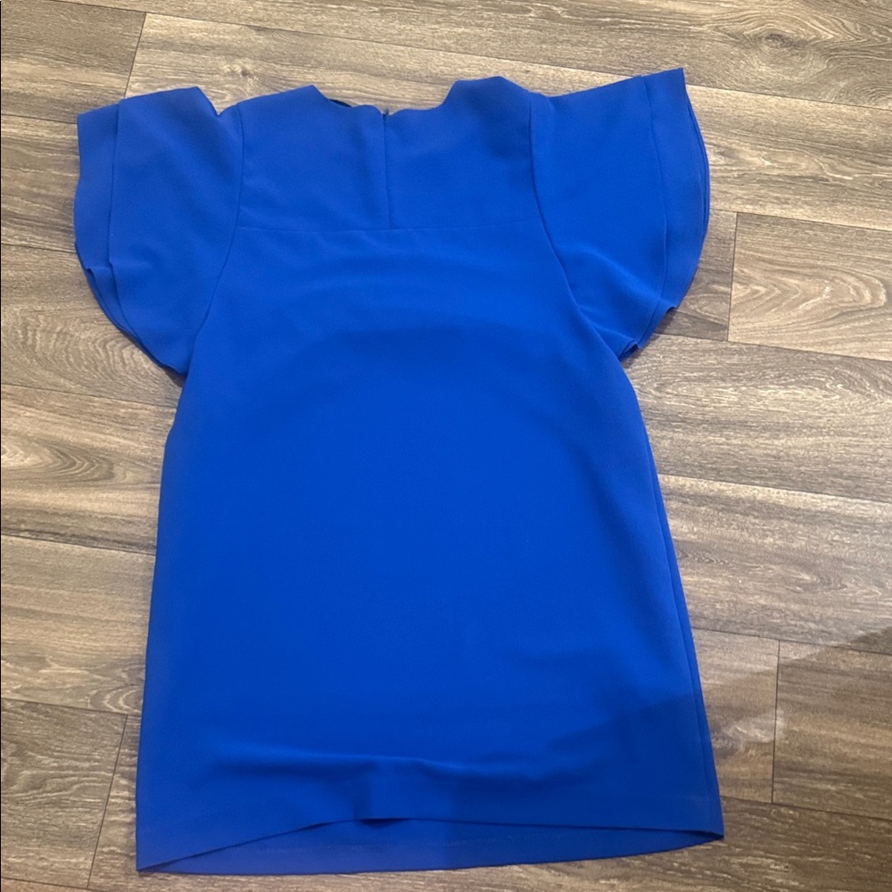 Felicity & Coco Vibrant Blue women’s Dress - Picture 3 of 6